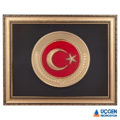 Ankara ALPAGUT AYYILDIZ ARMA TABLO