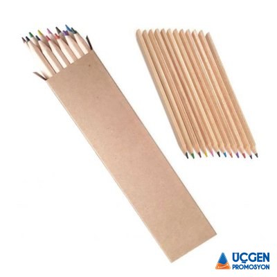 Ankara BAŞYAYLA 12Lİ TAM BOY BOYAMA SETİ