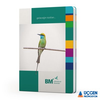 Ankara ÇAKIRLAR KUŞE MUKAVVA SIVAMA AJANDA 17X24 CM